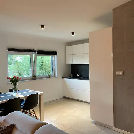 Apartament Z Klimatem II Wisla Exterior photo